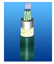 交联聚氯乙烯绝缘船用控制电缆
